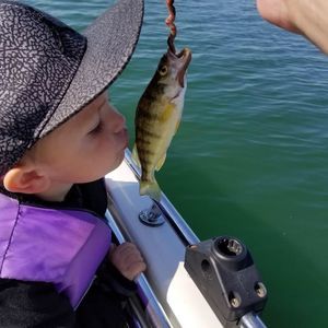 Meet your Posher, Leisha